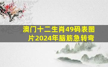 澳门十二生肖49码表图片2024年脑筋急转弯