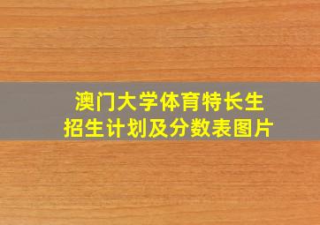 澳门大学体育特长生招生计划及分数表图片