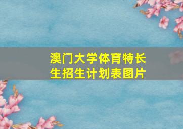 澳门大学体育特长生招生计划表图片