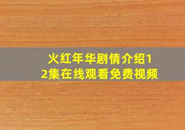 火红年华剧情介绍12集在线观看免费视频