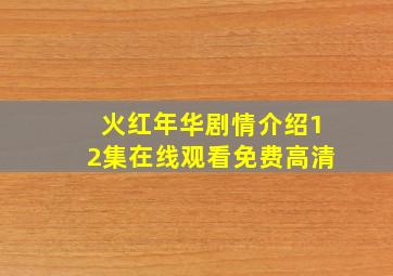 火红年华剧情介绍12集在线观看免费高清