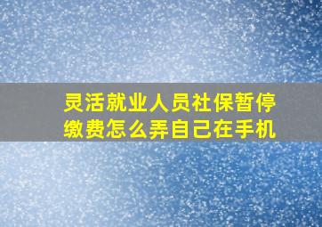 灵活就业人员社保暂停缴费怎么弄自己在手机