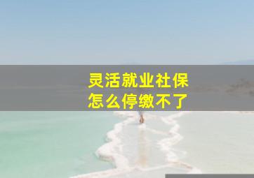 灵活就业社保怎么停缴不了