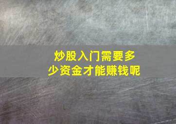 炒股入门需要多少资金才能赚钱呢