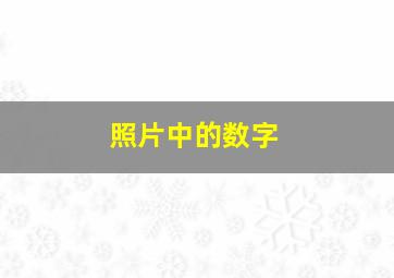 照片中的数字