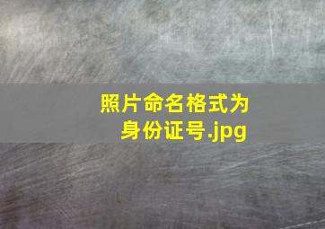 照片命名格式为身份证号.jpg