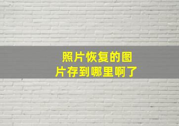 照片恢复的图片存到哪里啊了