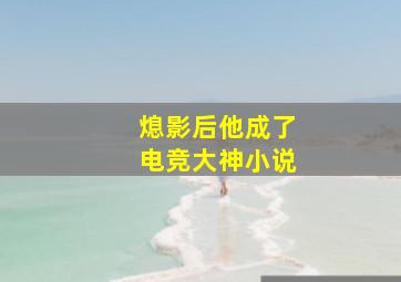 熄影后他成了电竞大神小说