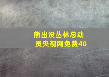 熊出没丛林总动员央视网免费40