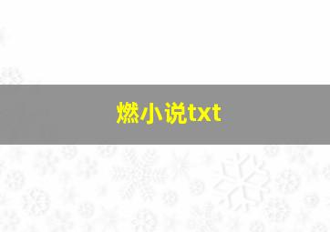 燃小说txt