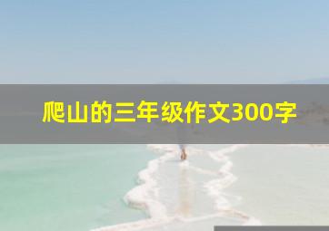 爬山的三年级作文300字