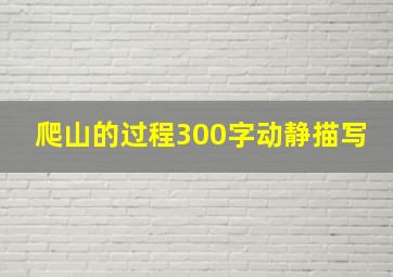 爬山的过程300字动静描写