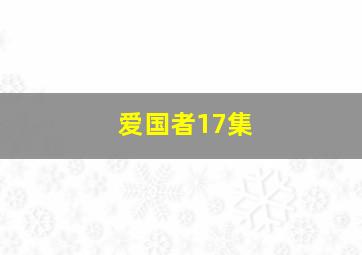 爱国者17集