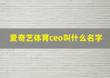 爱奇艺体育ceo叫什么名字