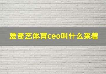 爱奇艺体育ceo叫什么来着