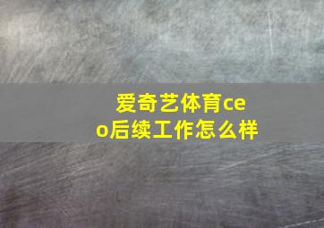 爱奇艺体育ceo后续工作怎么样