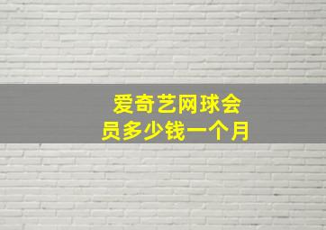 爱奇艺网球会员多少钱一个月