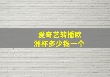 爱奇艺转播欧洲杯多少钱一个