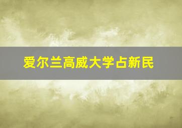 爱尔兰高威大学占新民