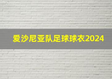 爱沙尼亚队足球球衣2024