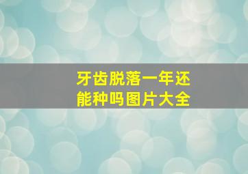 牙齿脱落一年还能种吗图片大全