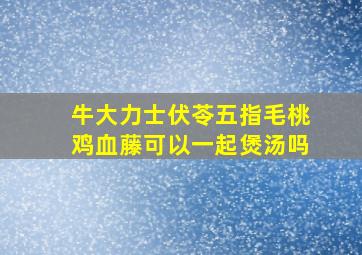 牛大力士伏苓五指毛桃鸡血藤可以一起煲汤吗