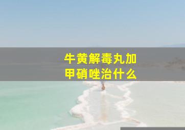 牛黄解毒丸加甲硝唑治什么