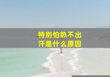 特别怕热不出汗是什么原因