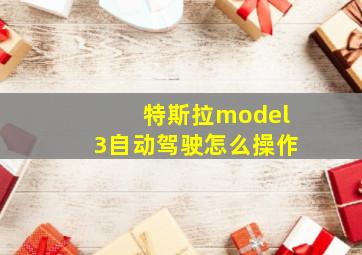 特斯拉model3自动驾驶怎么操作