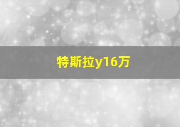 特斯拉y16万