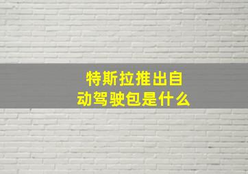 特斯拉推出自动驾驶包是什么