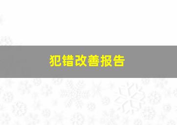 犯错改善报告