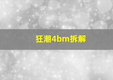 狂潮4bm拆解