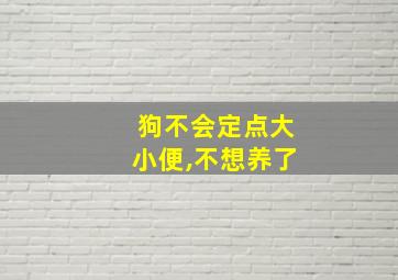 狗不会定点大小便,不想养了