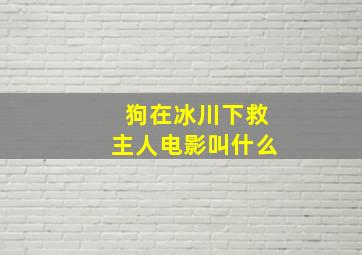 狗在冰川下救主人电影叫什么