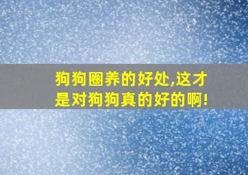 狗狗圈养的好处,这才是对狗狗真的好的啊!