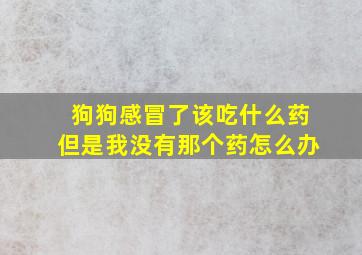 狗狗感冒了该吃什么药但是我没有那个药怎么办