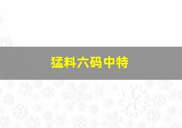 猛料六码中特