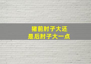 猪前肘子大还是后肘子大一点