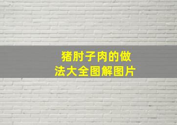 猪肘子肉的做法大全图解图片