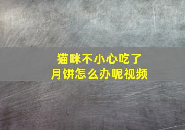 猫咪不小心吃了月饼怎么办呢视频