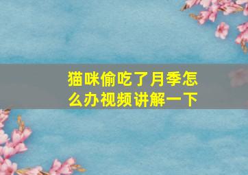 猫咪偷吃了月季怎么办视频讲解一下