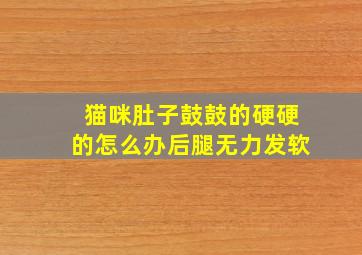 猫咪肚子鼓鼓的硬硬的怎么办后腿无力发软