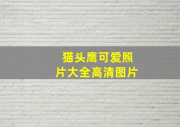 猫头鹰可爱照片大全高清图片