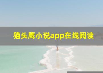 猫头鹰小说app在线阅读