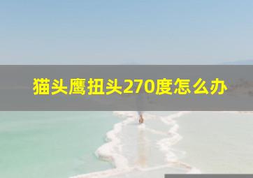 猫头鹰扭头270度怎么办