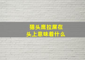 猫头鹰拉屎在头上意味着什么