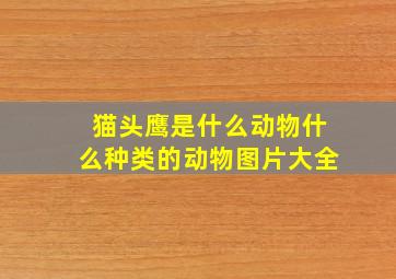 猫头鹰是什么动物什么种类的动物图片大全