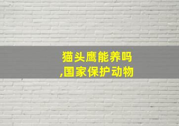 猫头鹰能养吗,国家保护动物