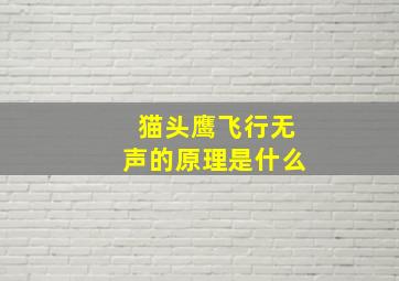 猫头鹰飞行无声的原理是什么